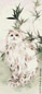 陈莲涛 猫 立轴 设色纸本