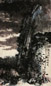 陈维信 庚申(1980年)作 雨后崂山 立轴 设色纸本