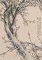 高翔(款) 墨梅 立轴 纸本