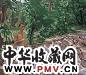 刘小东 1992年作 行吟诗人 布面油画