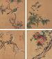 蔡含 丙辰(1676年)作 花鸟 册页 绢本