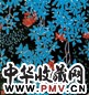 力群 1962年作 山葡萄(10/50) 版画