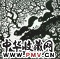 力群 林间