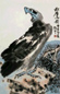 王振中 松鹰图 镜心 设色纸本
