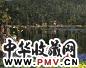 张京生 静湖无波