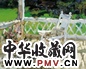 张京生 白椅子
