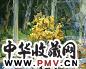 张京生 窗前的向日葵
