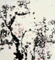 邓林 梅花 镜心 设色纸本