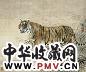胡藻斌 近现代 虎图 轴