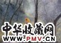 胡振宇 1994年 阳光 布面