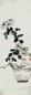 经颐渊 盆菊 立轴 设色纸本