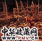 徐晓燕 2005年 辉煌系列 布面油画