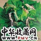 徐晓燕 绿色系列之六