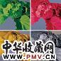 徐晓燕 2004年 四季(4联) 布面 油画
