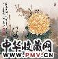 叶泉 秋艳 镜心 设色纸本