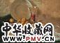 张充仁 静物 油彩 画布 框