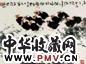 赵宁安 花鸟 镜心 设色纸本