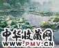 崔开玺 荷花 油画 画布