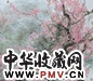 冯霖章 2002年作 春回大地 镜框 纸本设色