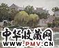 庞均 碧潭风光 布上 油彩