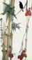 秦天柱 花鸟 镜心 设色纸本