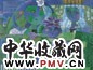 邵飞 网上新娘