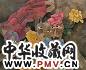 邵飞 红玫瑰 黄玫瑰 布面
