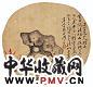 周棠 兰石