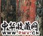 毛栗子 有字的门 布面