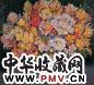 邵晶坤 1993年 盛开 布面