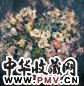 邵晶坤 1995年作 静物 布面 油画