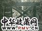 王怀庆 裂开的黑