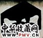 王怀庆 太师椅 油画 画布