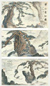 王济远 黄山云松图