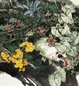 王晋元 花鸟 镜心 纸本