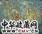 王云鹤 威尼斯晨色