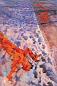 尹朝阳 1998年作 雪 油画 画布