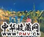 尹朝阳 飞翔的歌声