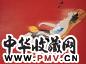 张东红 2004年作 红女 布面油画