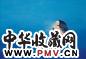 张东红 2004年作 西子 布面油彩