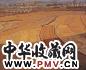 张俊明 有阳光的风景 布面 油彩