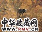 程丛林 1994年作 山间小路 油画画面