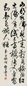 胡问遂 书法 立轴 纸本