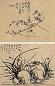 蒋予检 墨兰 册页(8开) 水墨纸本