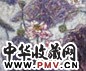 雷双 清荷