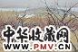 袁运甫 梅园 纸上 水彩