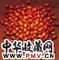 黄茂强 秋实