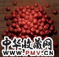 黄茂强 2002年 红苹果 布面油画
