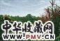 黄铭昌 2004年作 绿境红深(水稻田系列) 油彩 画布