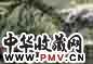 劳继雄 2003年作 夏景晴岚 镜心 设色纸本